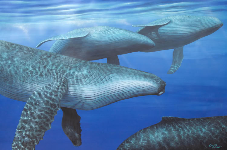 Four Whales